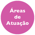 promax areas de atuacao